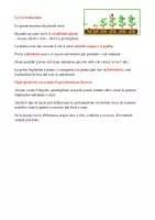 anteprima - Materiale interattivo - Diario di un seme; carte, letture e attività concrete; classi 2/5 - Pagina 3