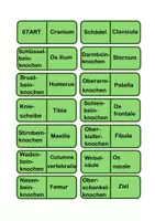 Vorschau - Spiele - Knochendomino - mit Erweiterung - Seite 1