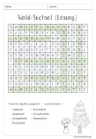 Vorschau - Arbeitsblätter - Wald - Suchsel / Buchstabengitter - Seite 2