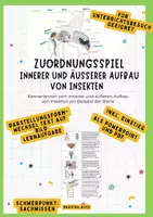 Vorschau - Arbeitsblätter - Innerer und äußerer Aufbau von Insekten am Beispiel der Biene - Deckblatt