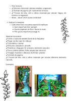 Vista previa - Unidades / Secuencias / Situaciones de Aprendizaje - Treball maqueta espai natural - página 2