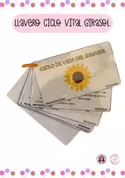 Vista previa - Hojas de trabajo - PACK SOBRE LAS PLANTAS - Material colaborativo - página 1