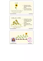 Vista previa - Hojas de trabajo - PACK SOBRE LAS PLANTAS - Material colaborativo - página 3