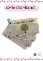 Vista previa - Tarjetas / Manipulativos - Llavero Ciclo de Vida del Árbol - Material colaborativo - Portada