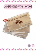 Vista previa - Tarjetas / Manipulativos - Llavero Ciclo de Vida de los Hongos - Material colaborativo - Portada