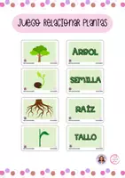 Vista previa - Juegos / Gamificación - Juego Educativo Relaciona las Partes de la Planta - Material colaborativo - Portada