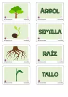 Vista previa - Juegos / Gamificación - Juego Educativo Relaciona las Partes de la Planta - Material colaborativo - página 1