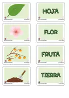 Vista previa - Juegos / Gamificación - Juego Educativo Relaciona las Partes de la Planta - Material colaborativo - página 2