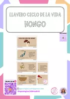 Vista previa - Tarjetas / Manipulativos - Llavero de hongos - material colaborativo - Portada