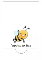 Vorschau - Unterrichtsreihen - Lapbook Biene - Seite 1