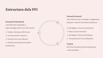 Vista previa - Presentaciones - Programes formació i inserció (PFI) - página 2