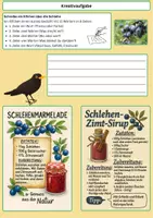 Vorschau - Arbeitsblätter - Die Schlehe – Dornige Blüte, starke Frucht - Seite 2