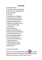 Vorschau - Spiele - Knochenjagd - Das Spiel für die Knochen und Gelenke des menschlichen Körpers - Seite 2