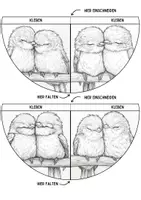 Vorschau - Vogel Lesezeichen Leseecke ausmalen Kunst basteln Ausmalbilder - Seite 2