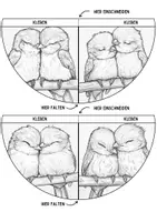 Vorschau - Vogel Lesezeichen Leseecke ausmalen Kunst basteln Ausmalbilder - Seite 3