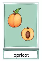 Vorschau - Bildkarten - Englisch - Flashcards Fruit - Seite 2