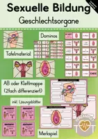 Vorschau - Spiele - Geschlechtsorgane (Sexualerziehung / Sexualkunde) - Deckblatt