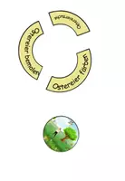 Vorschau - Aufgabenkarten - Legekreis "Rund ums Osterei" plus Version für den Anybookreader DaZ / DaF / Deutsch - Seite 2