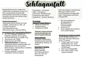Vorschau - Merkblätter - Grundlagen der Neurologie - Schlaganfall & SHT - Deckblatt