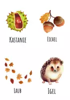Vorschau - Bildkarten - Was gehört zum Herbst?– Morgenkreiskarten für den Kindergarten - Seite 2