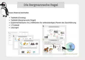 Vorschau - Arbeitsblätter - Schülerexperiment: Pinguine und die Bergmannsche Regel - Deckblatt