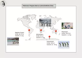 Vorschau - Arbeitsblätter - Schülerexperiment: Pinguine und die Bergmannsche Regel - Seite 1