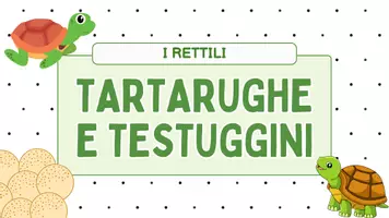 anteprima - Esercizi - Raccolta di materiali - Pagina 2