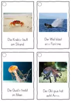Vorschau - Fördermaterial/Inklusion - Im Ozean, Lesekarten für Erstleser (Silbenmethode), Nr. 008 - Seite 2