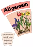 Vorschau - Stationenlernen - Frühblüher - Legekreis - Seite 2