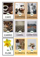 Vista previa - Juegos / Gamificación - 16 PALABRAS y sus DERIVADAS Simplemente - página 2