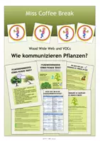 Vorschau - Arbeitsblätter - Wie kommunizieren Pflanzen? - Wood Wide Web und VOCs - Deckblatt