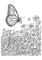 Vorschau - Schmetterlinge Kunst Ausmalbilder Insekten ausmalen Zwischendurch - Seite 3
