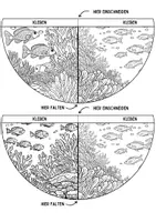 Vorschau - Arbeitsblätter - Korallenriff Lesezeichen Leseecke ausmalen Fische Kunst basteln Ausmalbilder - Seite 2