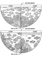 Vorschau - Arbeitsblätter - Korallenriff Lesezeichen Leseecke ausmalen Fische Kunst basteln Ausmalbilder - Seite 3