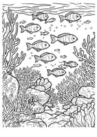 Vorschau - Arbeitsblätter - Korallenriff Kunst Ausmalbilder Fische ausmalen Zwischendurch - Seite 3