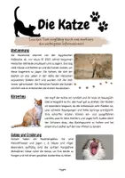 Vorschau - Arbeitsblätter - Die Katze - Materialpaket - Seite 1