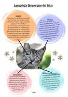 Vorschau - Arbeitsblätter - Die Katze - Materialpaket - Seite 2