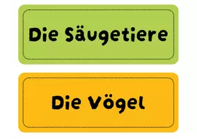 Vorschau - Arbeitsblätter - Wirbeltiere ordnen -informativer Einstieg | Unterrichtsreihe "Wirbeltiere", Biologie Klasse 4./5. - Seite 1