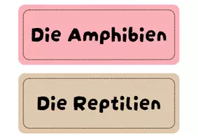 Vorschau - Arbeitsblätter - Wirbeltiere ordnen -informativer Einstieg | Unterrichtsreihe "Wirbeltiere", Biologie Klasse 4./5. - Seite 2