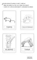 anteprima - Flashcard - Flashcards - italiano: RISVEGLIO | LETARGO - Pagina 2