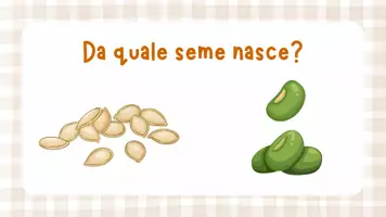 anteprima - Materiale interattivo - Come nasce una zucca - Pagina 2