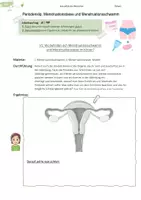 Vorschau - Arbeitsblätter - Hygiene | Menstruation | Versuche - Seite 3