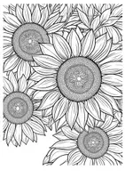 Vorschau - Arbeitsblätter - Sommer Mandala - Seite 3