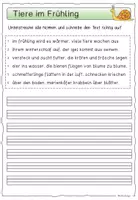 Vorschau - Arbeitsblätter - Frühling / Groß- und Kleinschreibung - Seite 1