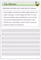 Vorschau - Arbeitsblätter - Frühling / Groß- und Kleinschreibung - Seite 3