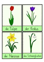 Vorschau - Mal- und Bastelvorlagen - Frühblüher Materialpaket - Seite 3