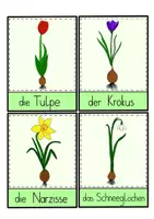 Vorschau - Arbeitsblätter - Frühblüher - alle Grafiken & Tafelbilder zum Thema - Seite 1