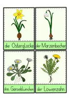 Vorschau - Arbeitsblätter - Frühblüher - alle Grafiken & Tafelbilder zum Thema - Seite 2