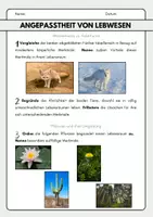 Vorschau - Arbeitsblätter - Angepasstheit von Lebewesen - Deckblatt