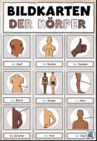 Vorschau - Präsentationen/Tafelbilder - Bildkarten / Wortkarten "Der Körper" DaZ / DaF / Deutsch - Deckblatt